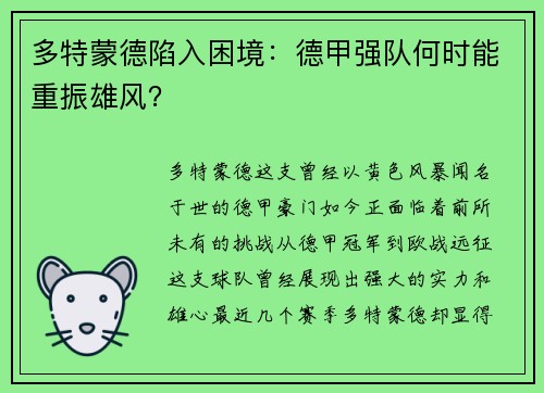 多特蒙德陷入困境：德甲强队何时能重振雄风？